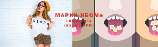 гидра Мурманск