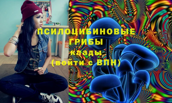 спиды Великий Новгород