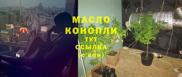 гидра Мурманск