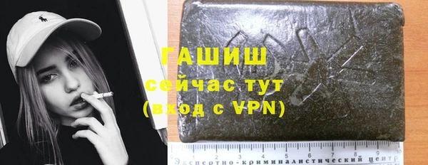 гидра Мурманск