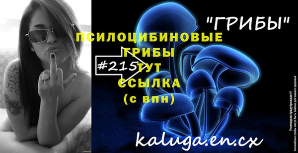 спиды Великий Новгород