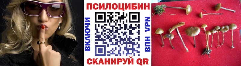 Галлюциногенные грибы прущие грибы  магазин продажи   Заполярный 